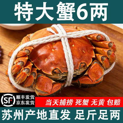 苏州鲜活满黄特大公母大闸蟹