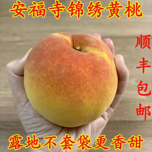黄桃新鲜水果脆甜脆桃