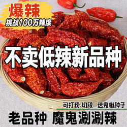 新货1斤印度魔鬼椒云南涮涮辣死神变态辣魔鬼辣椒龙息断魂椒特辣