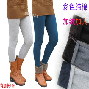 包邮 秋冬加长加大纯棉水貂绒双层打底裤 加绒全棉保暖女裤九分裤