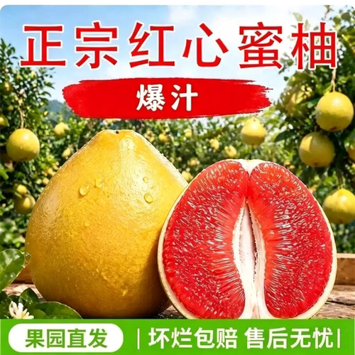 正宗红心蜜柚现摘新鲜老树蜜柚