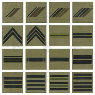 法军公发原装正品法国外籍兵团法军军衔章