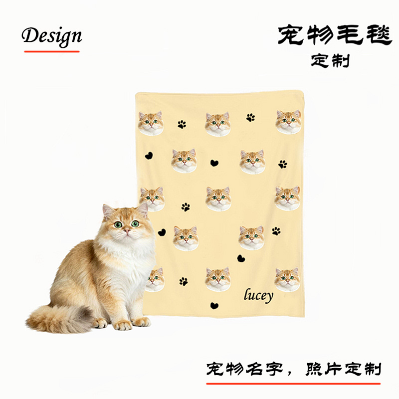 宠物定制周边羊羔绒法兰绒毛毯来图定制盖毯沙发毯子猫咪狗送礼物