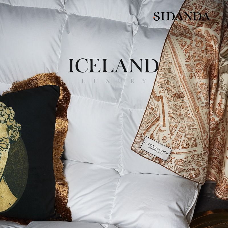 SIDANDA诗丹娜镇店之魂冰岛雁鸭绒被羽绒被真丝提花面料高奢床品