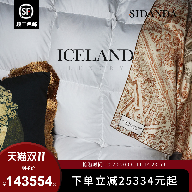 SIDANDA进口冰岛雁鸭绒被