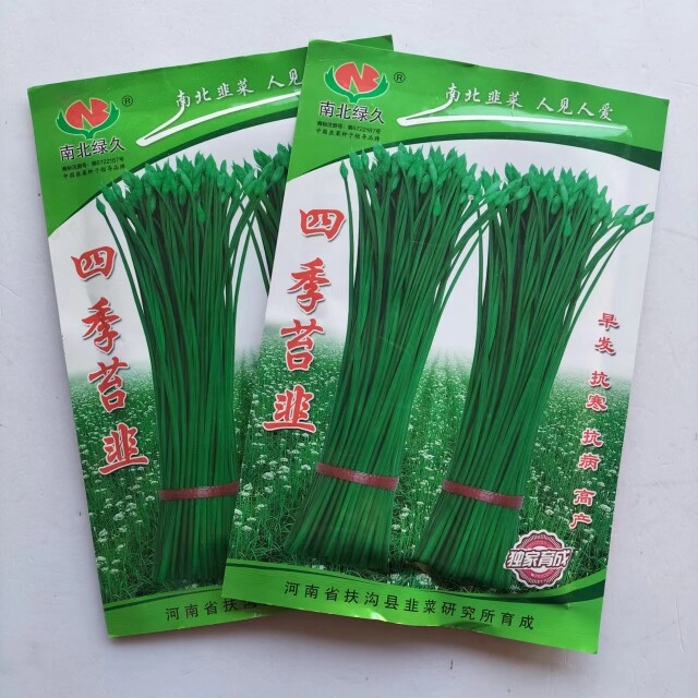 南北四季韭菜苔韭种籽高产耐寒春播韭苔种中华苔韭种子