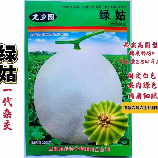 超甜白皮绿肉甜瓜种籽绿姑水果薄皮甜瓜种子春季玉绿姑甜瓜种子