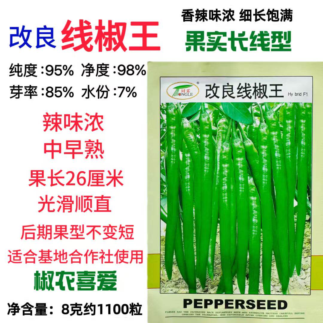 同乐改良线椒王长辣椒种