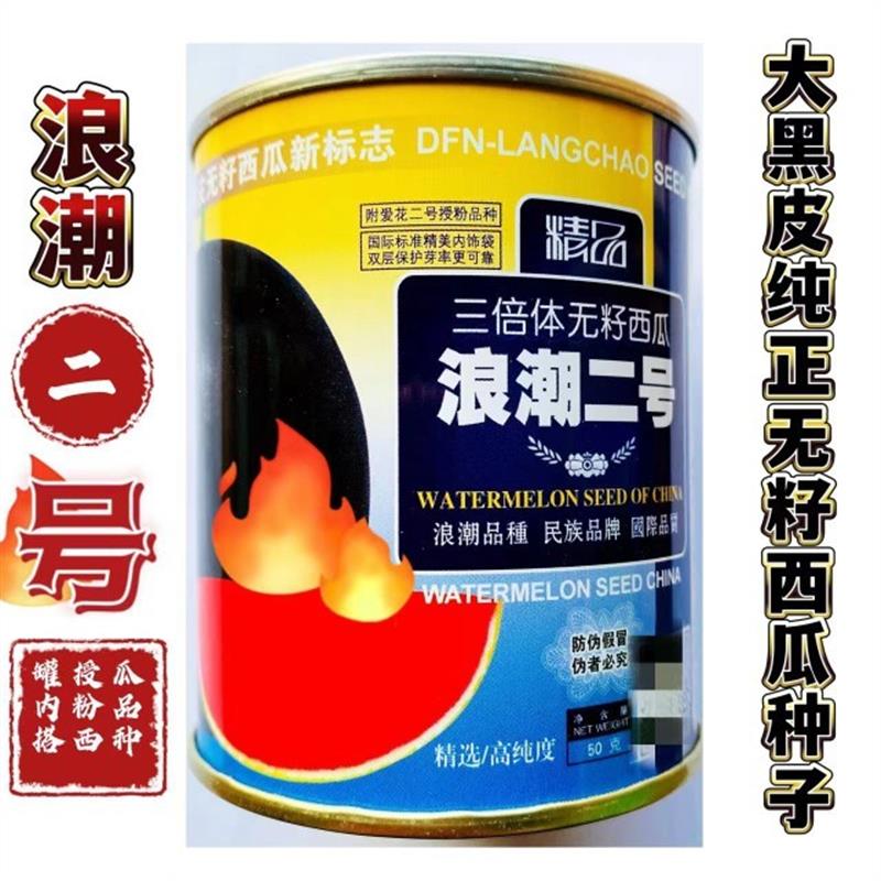 浪潮二号黑皮无籽西瓜种子浪潮四号花皮红瓤高产无籽瓜三倍体四季