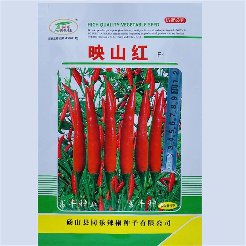 同乐映山红朝天椒种子早熟高产杂交超辣朝天种籽特辣红尖椒种孑