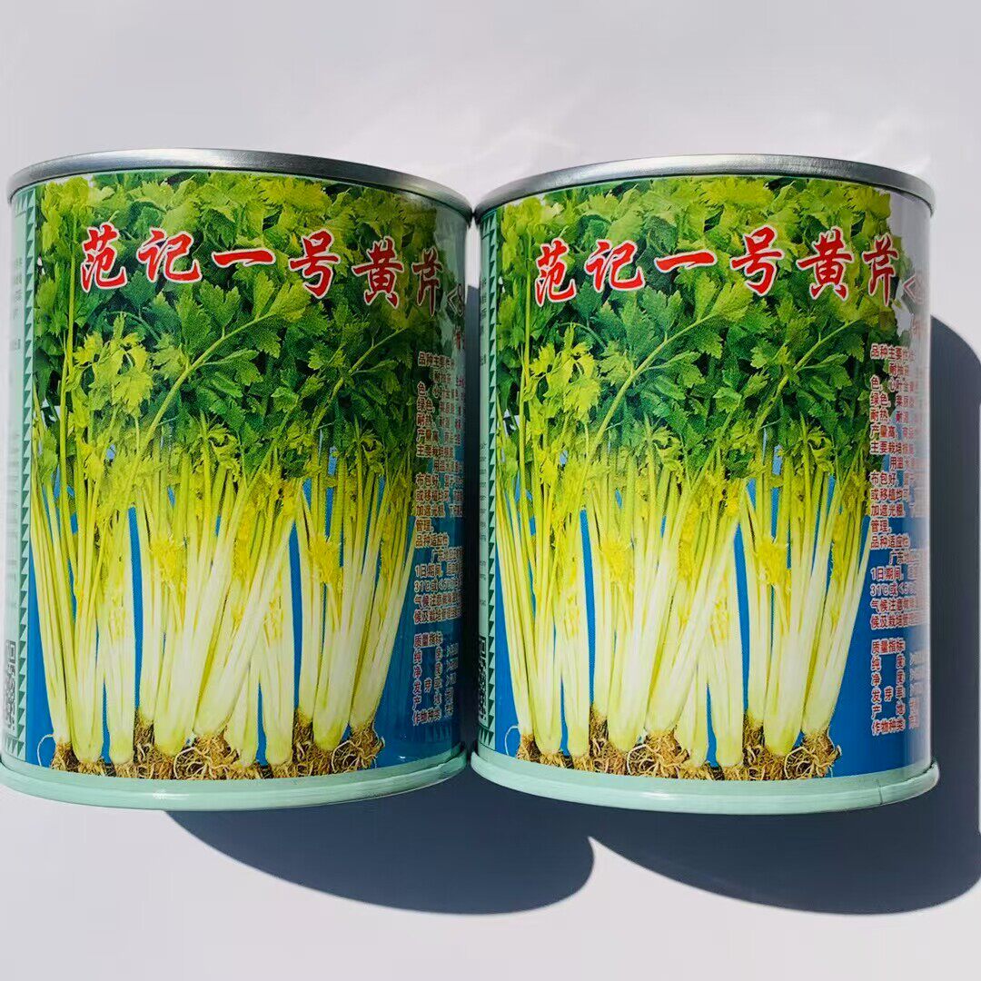 范记一号黄心芹种子广东
