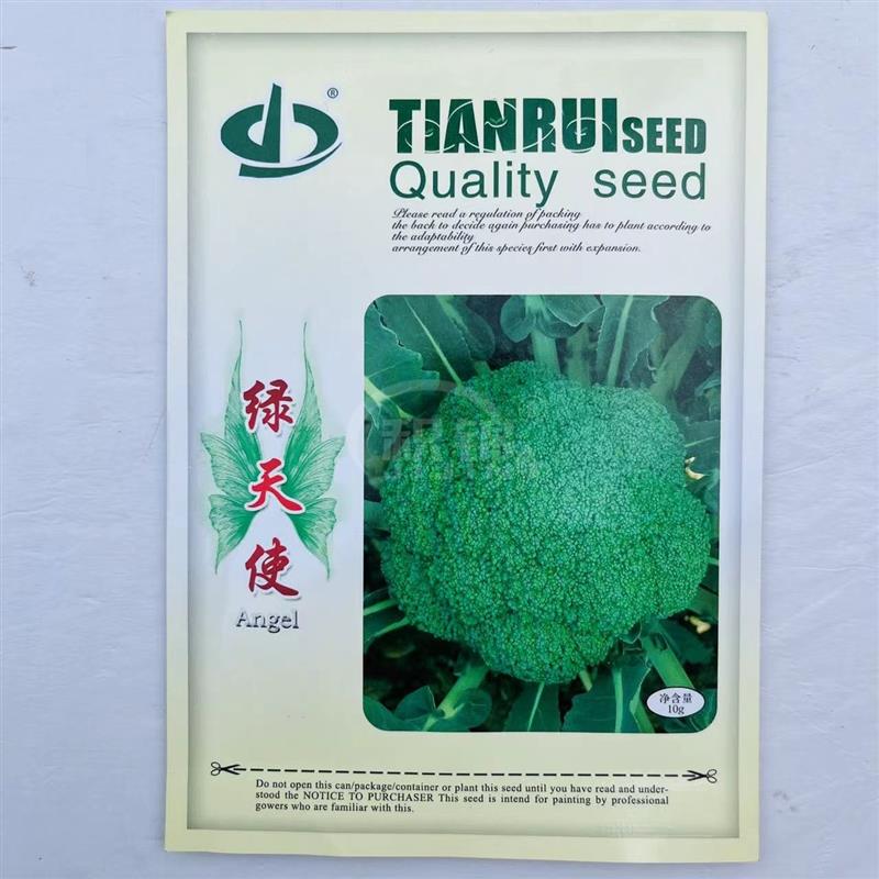绿天使西兰花种子早熟青花菜种籽花椰菜耐寒大棚盆栽四季农家蔬菜