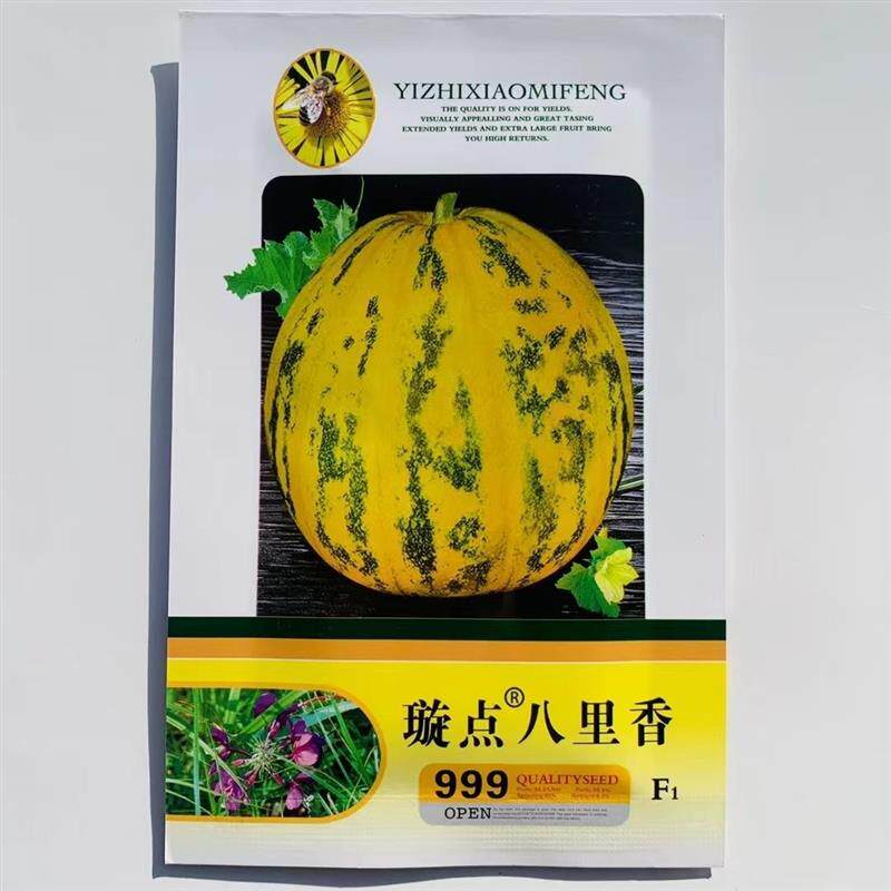 璇点八里香甜瓜种子抗病高糖香甜金黄皮豹点甜瓜种子花皮绿肉香甜