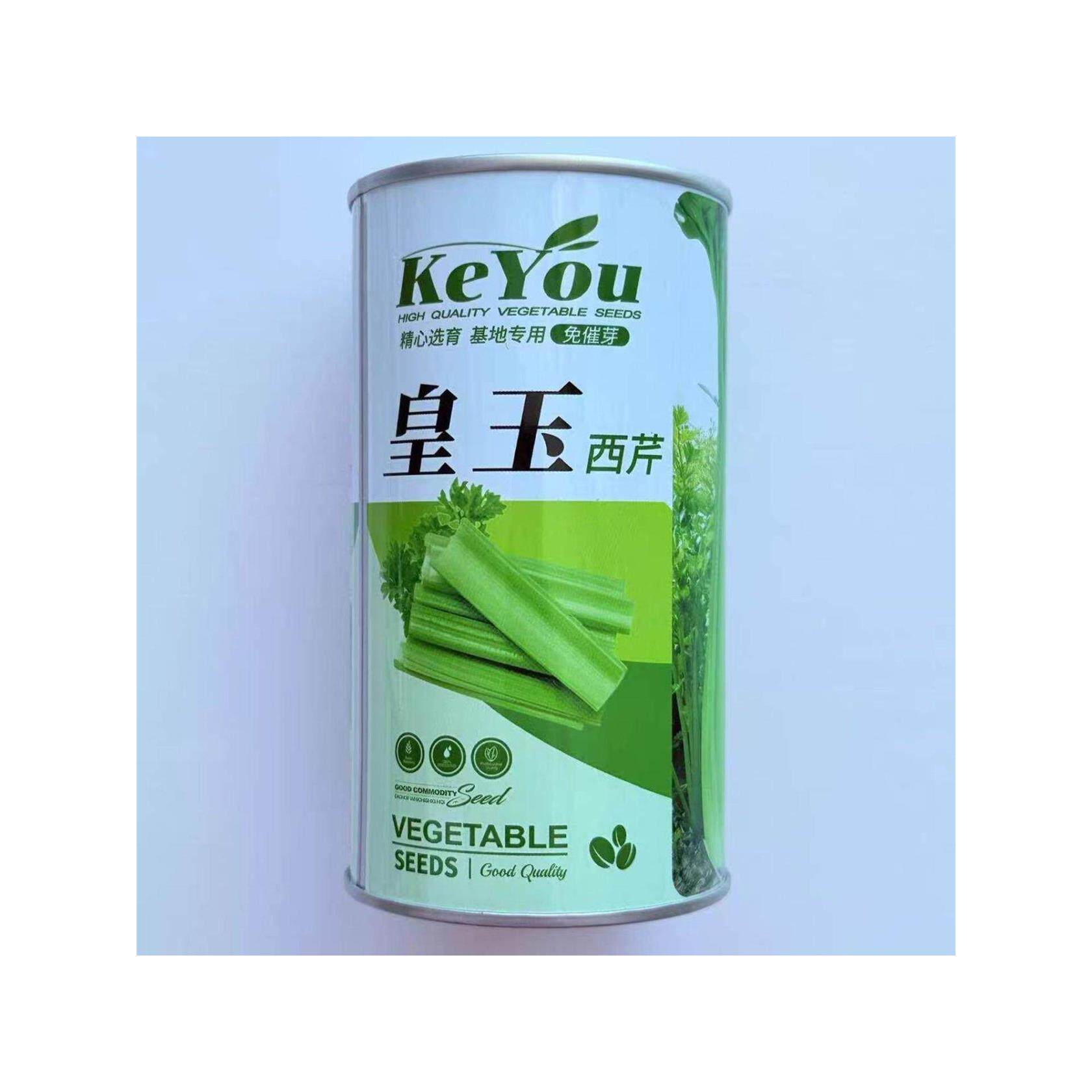 皇玉芹菜种子高产抗病耐