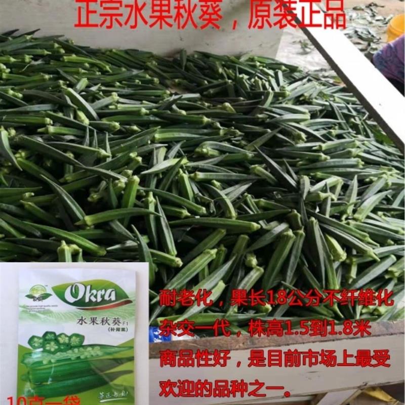 水果秋葵种子原装10克抗病口感好基地专用品种耐老化耐运输