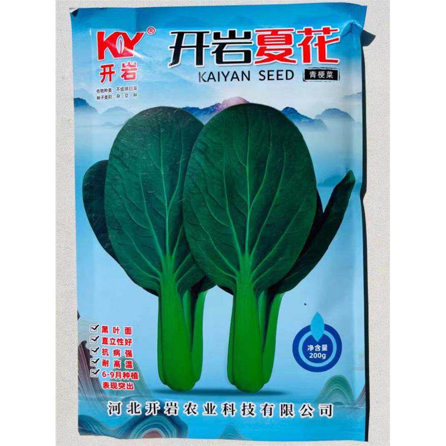 开岩夏花青梗菜种子叶片