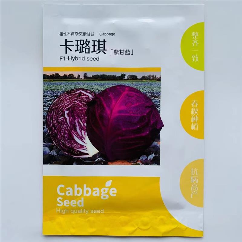 卡璐琪紫甘蓝种子卷心菜紫包头菜中熟抗病高产春秋季基地蔬菜种籽