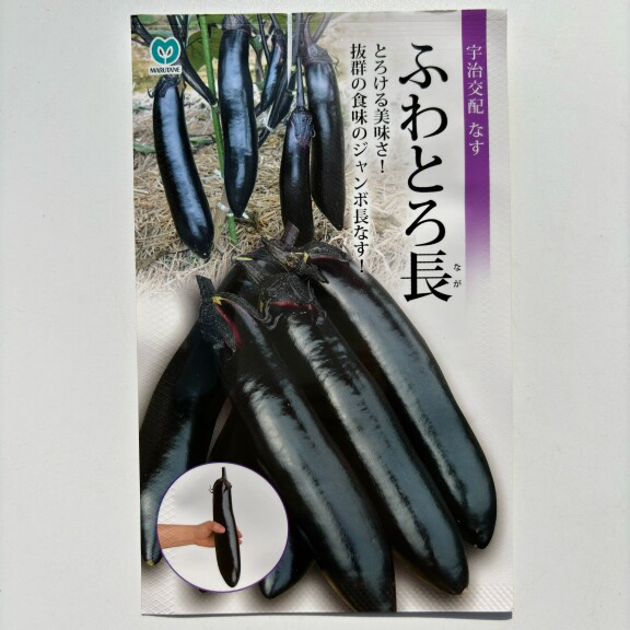日本进口黑美味茄子种子一代杂交黑紫色有光泽果肉淡绿色软糯香甜