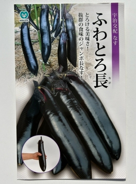 日本进口黑美味茄子种子一代杂交黑紫色有光泽果肉淡绿色软糯香甜