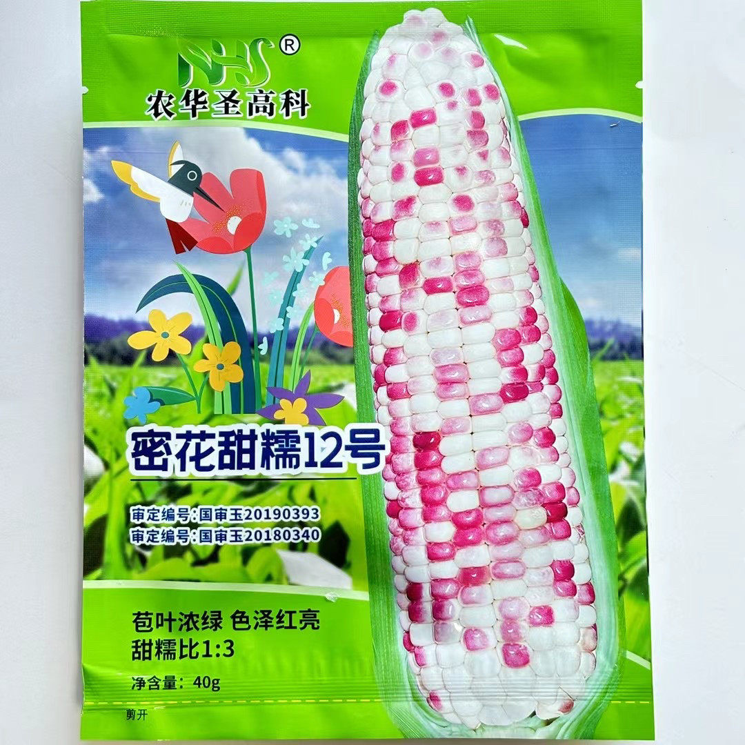 密花甜糯12号彩玉米种子