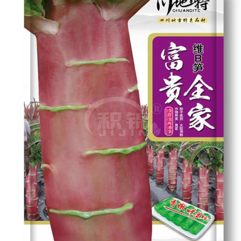 富贵全家莴笋种籽维b笋皮色紫红肉绿质脆味清香耐寒丰产性好产量