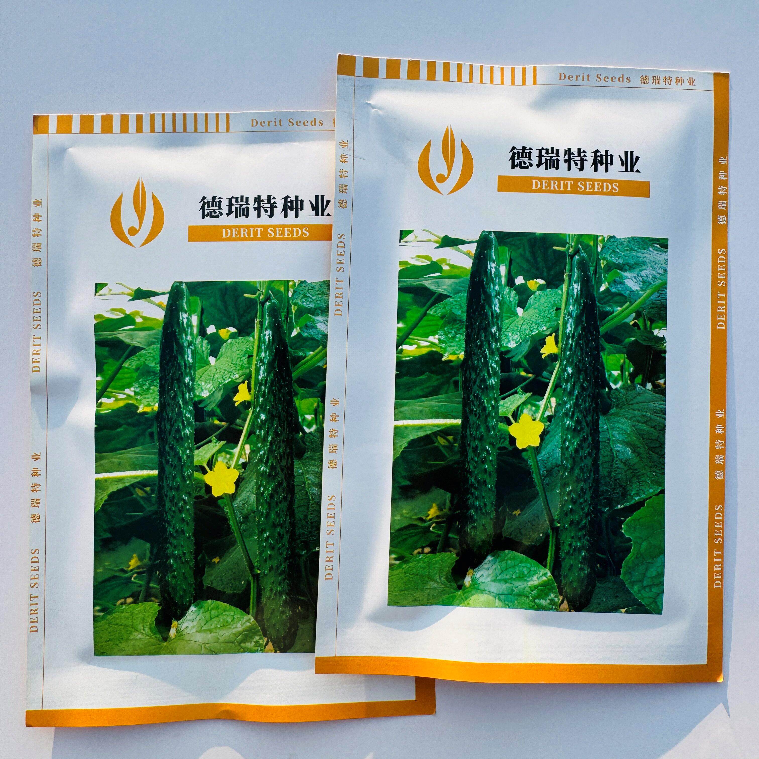 天津德瑞特博美411黄瓜种