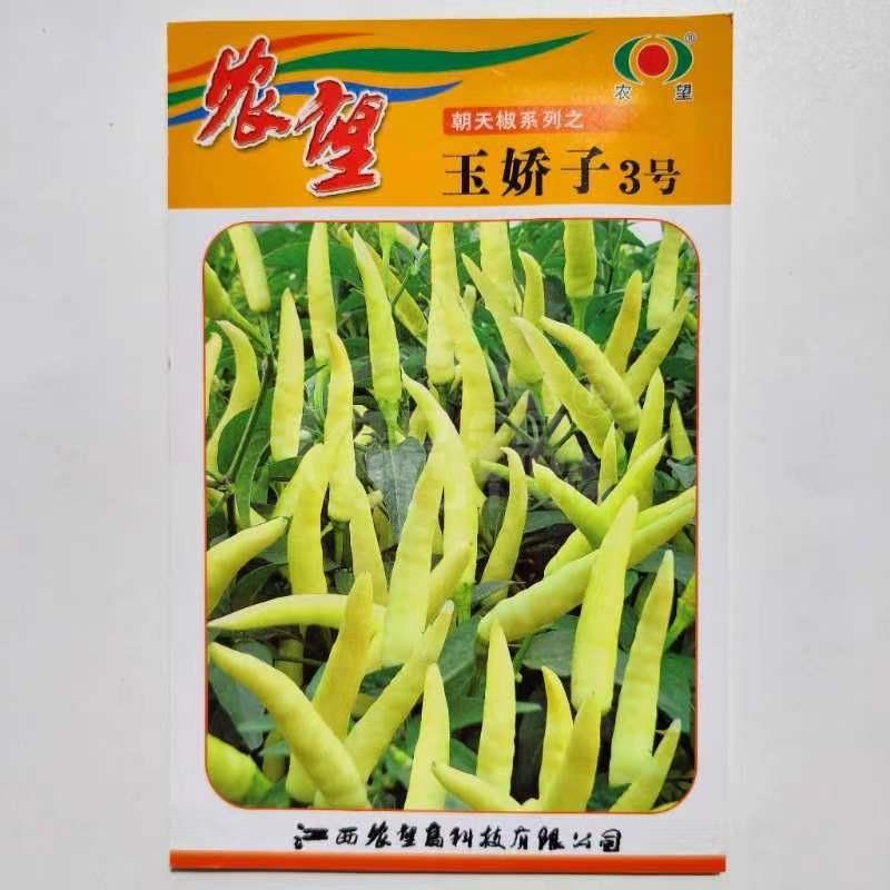 农望玉娇子3号朝天椒种子白色小米椒种籽早熟辣椒种籽腌制泡椒春