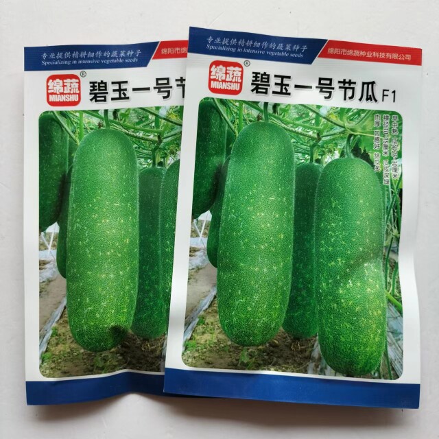绵蔬碧玉一号节瓜种子小冬瓜种子早中熟小冬瓜种子四季蔬菜种子