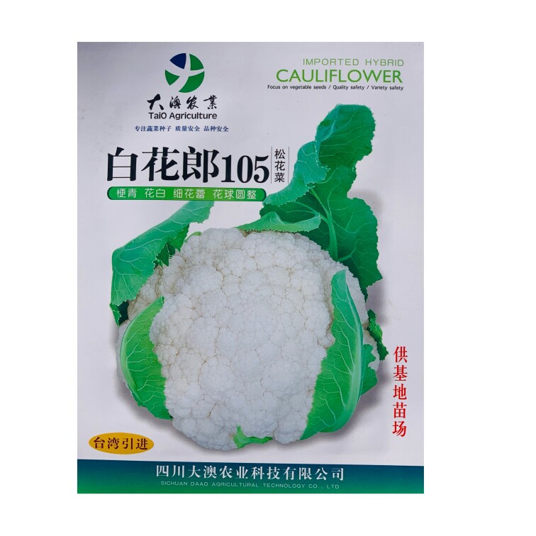 正宗青梗松花菜种子台湾引进杂交免盖球耐热湿高产抗病基地专用