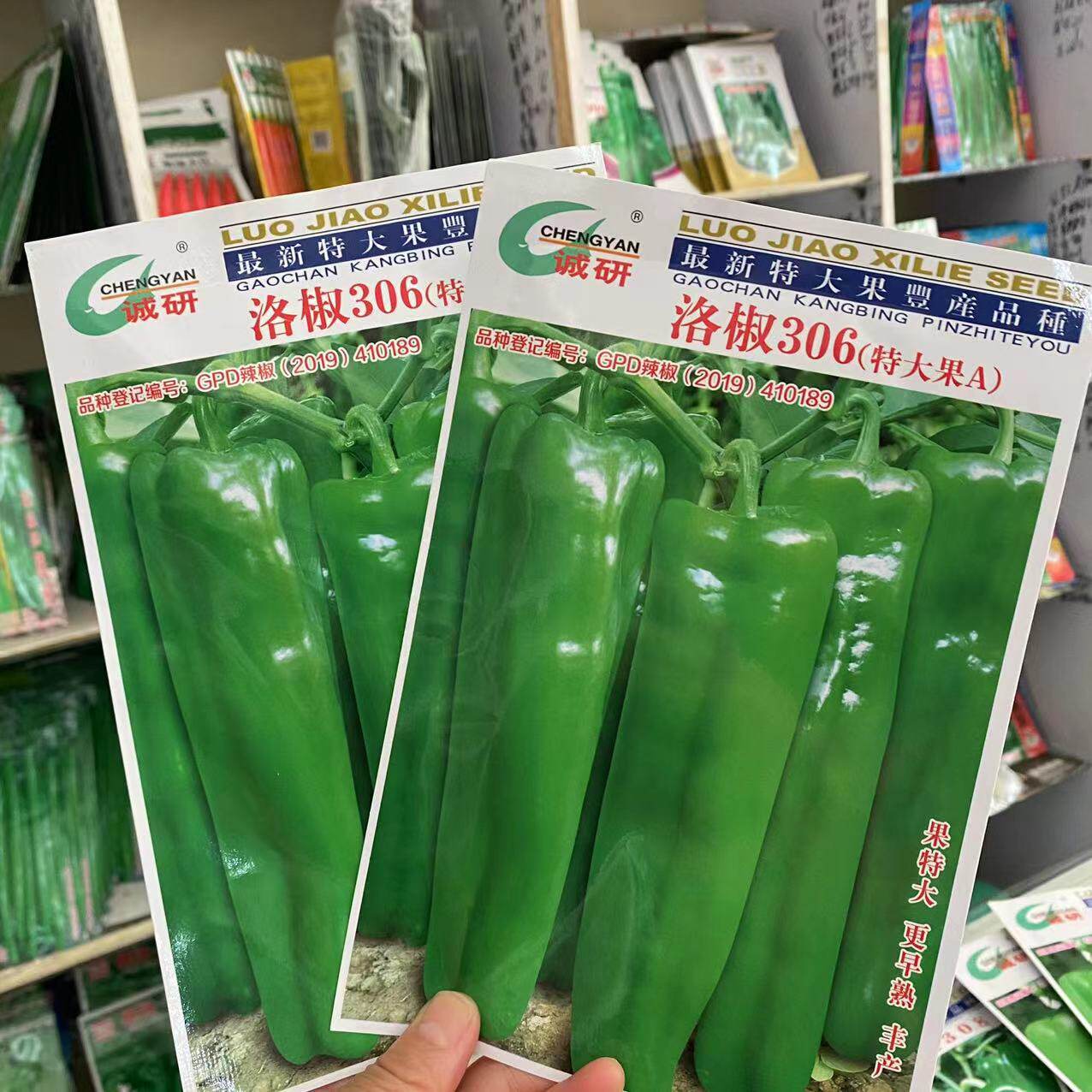 洛椒306辣椒种子特大牛角