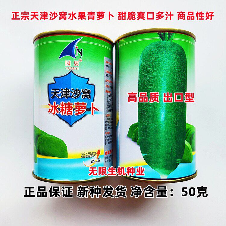 正宗天津沙窝萝卜种子冰