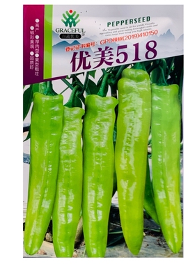 优美518早熟杂交羊角型辣椒种子果实黄绿色光泽度好味浓辣椒种子