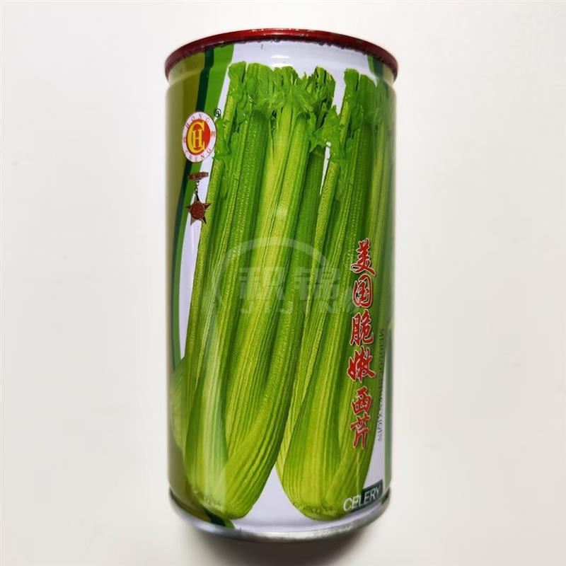 美国脆嫩西芹种子高产抗病抗热耐寒芹菜种籽农家菜园四季蔬菜种孑