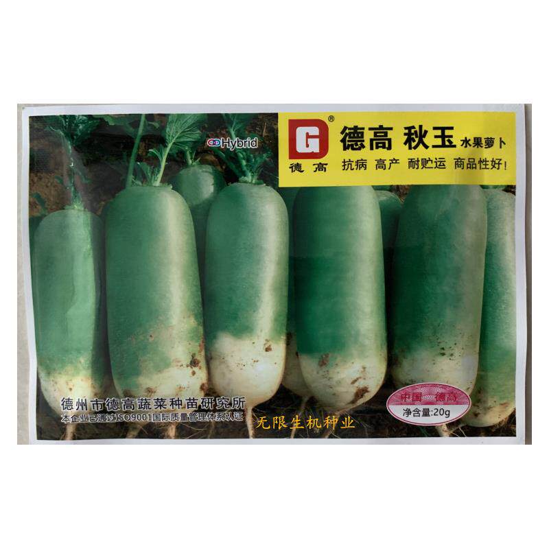 德高秋玉水果萝卜种子秋