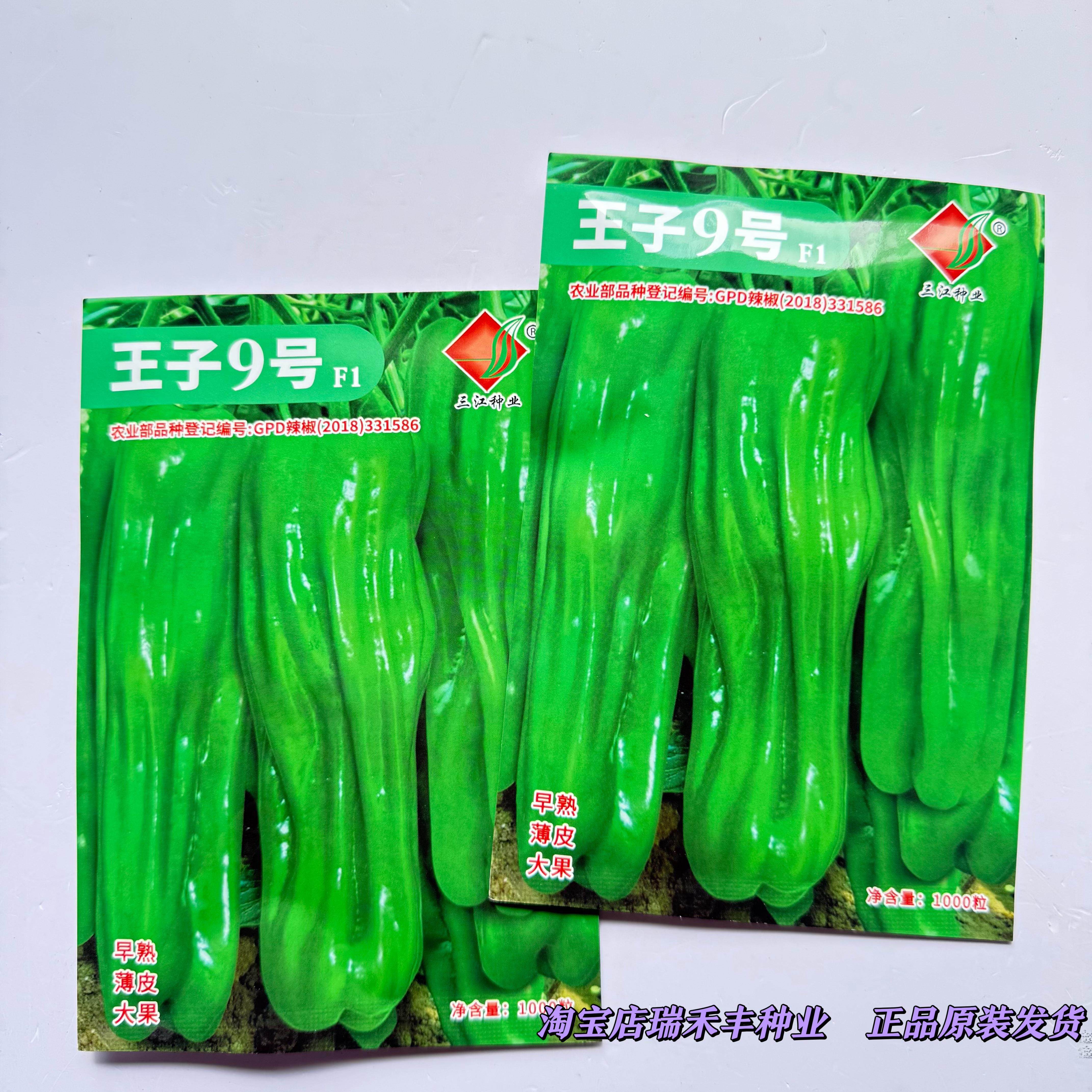 王子9号辣椒种子早熟薄皮