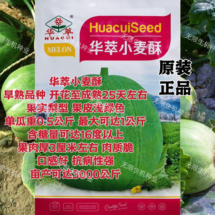 小麦酥甜瓜种子薄皮香籽