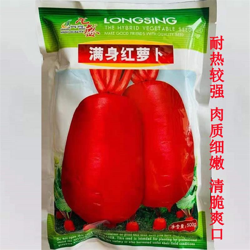 龙盛满身红萝卜种子细嫩脆爽耐热红皮白肉萝卜种子夏秋季蔬菜种孑