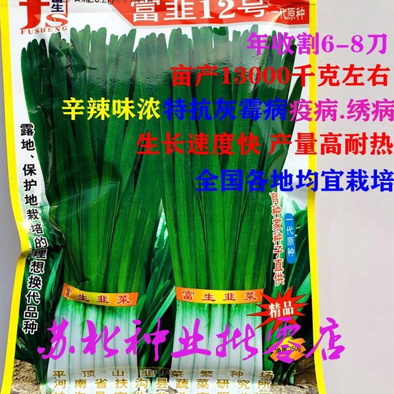 富韭12号韭菜种子抗病高产品质鲜嫩农家大田用种植蔬菜种籽