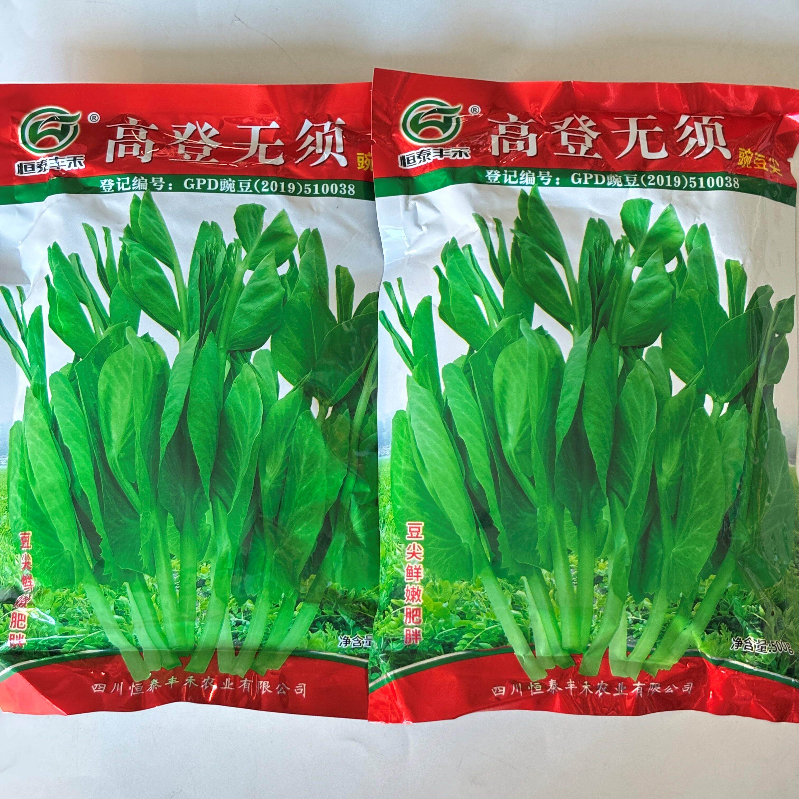 高登无须豌豆尖种子早熟