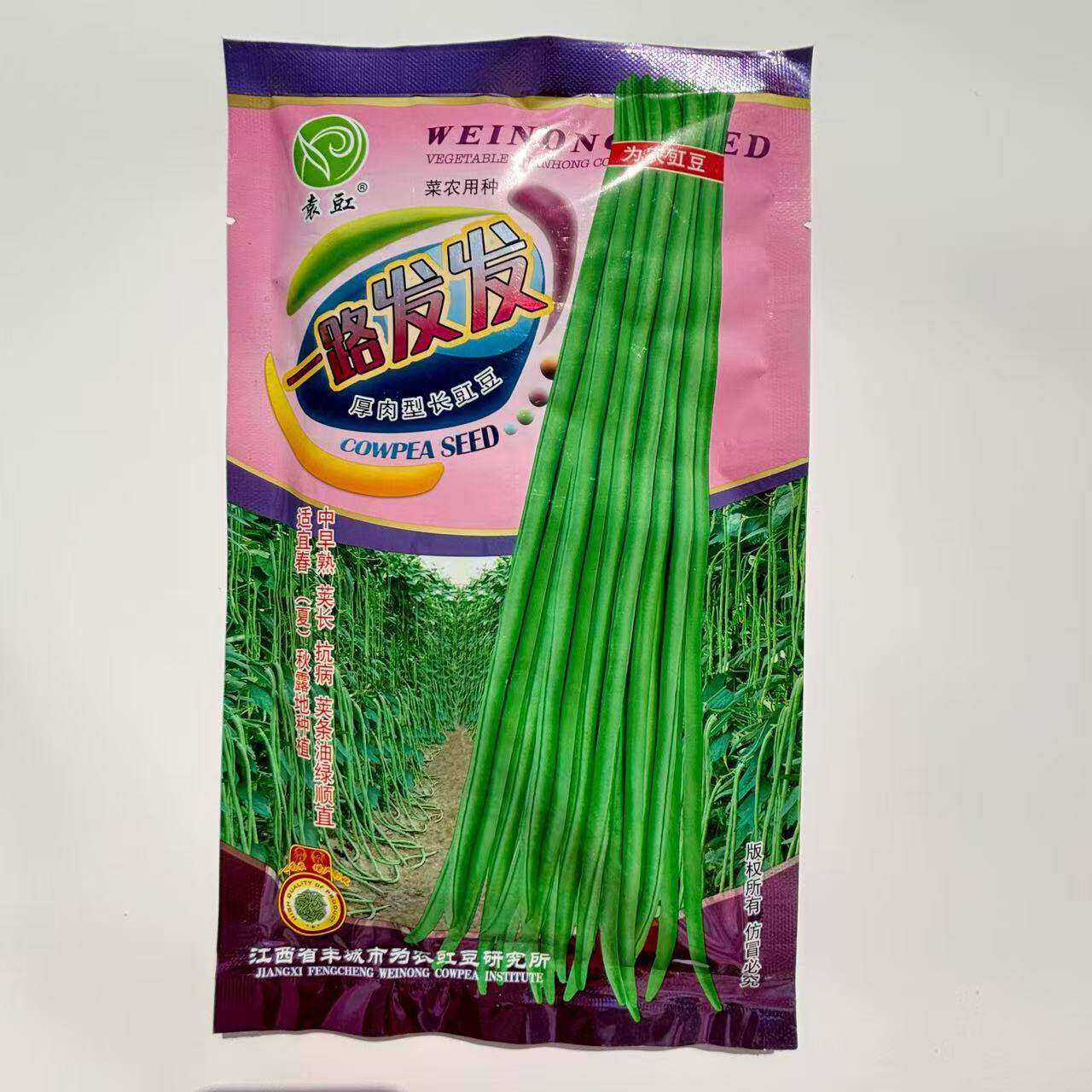 袁豇一路豆种子油绿翠绿