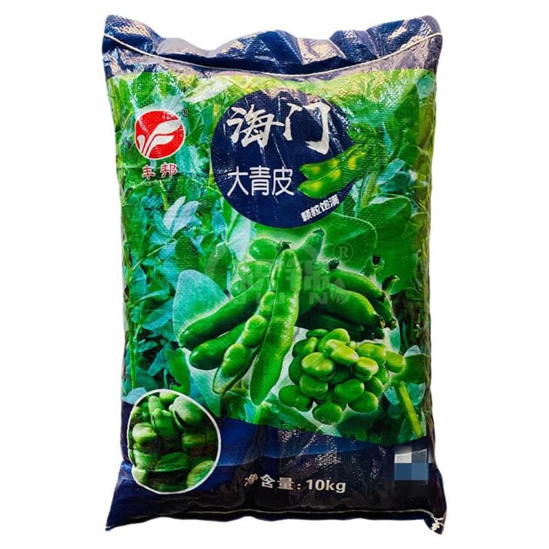 海门大青皮蚕豆种子高产抗病大荚蚕豆种籽农家大田基地春秋蚕豆种