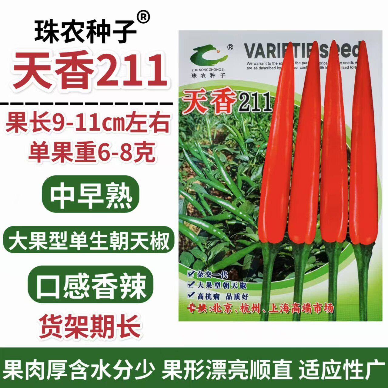天香211朝天椒种子中早熟