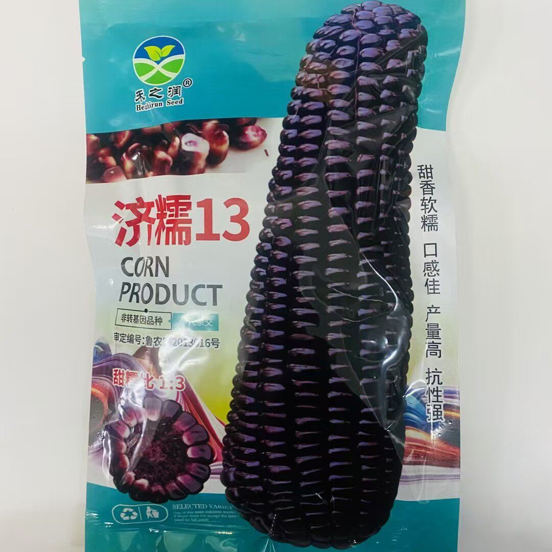 禾之润济糯13黑甜糯玉米