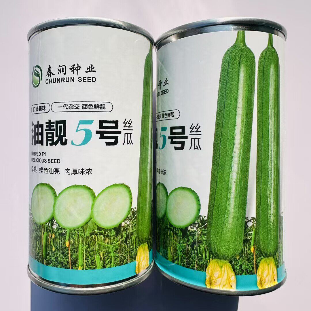 春润种业油靓5号丝瓜种子