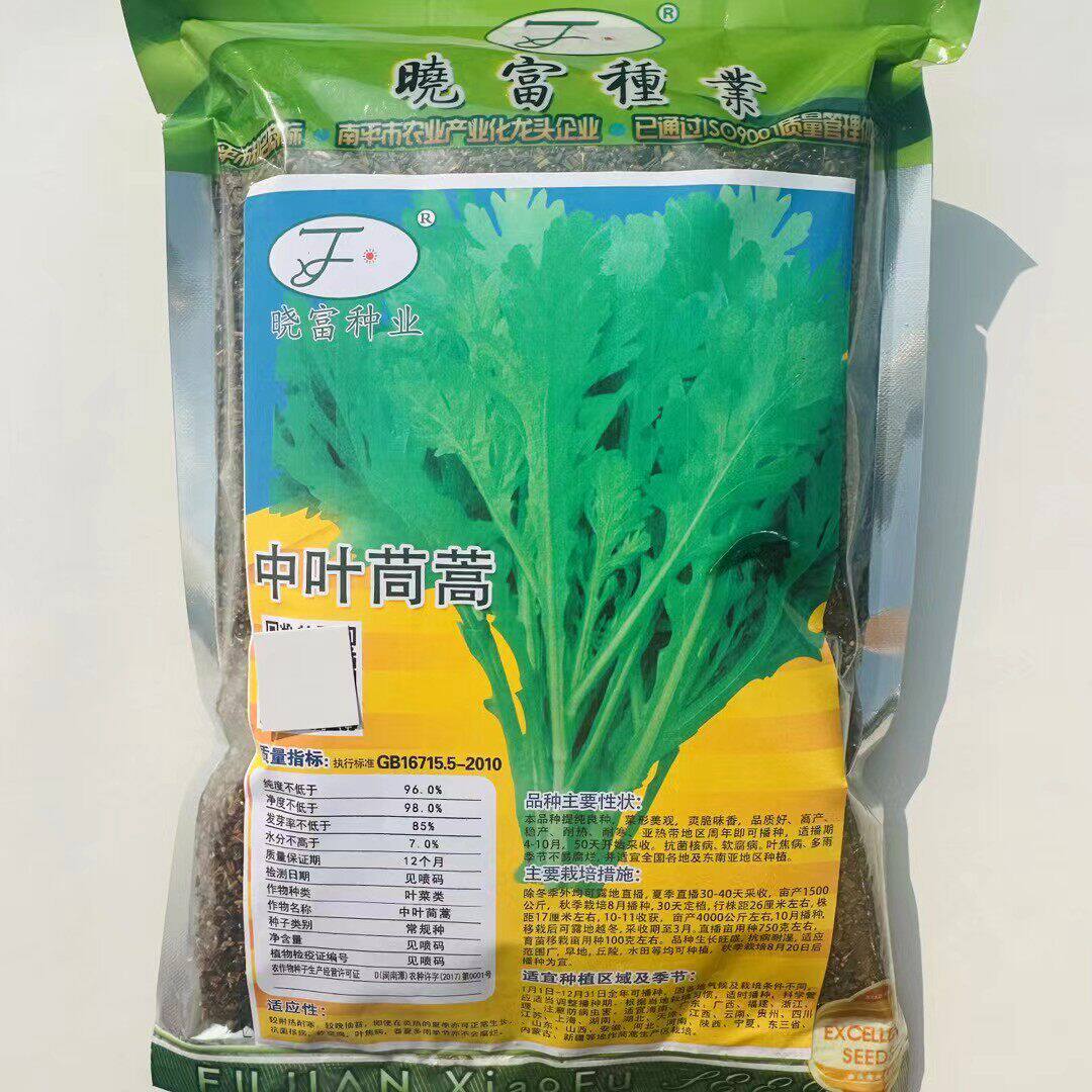 晓富中叶茼蒿种子菜籽皇
