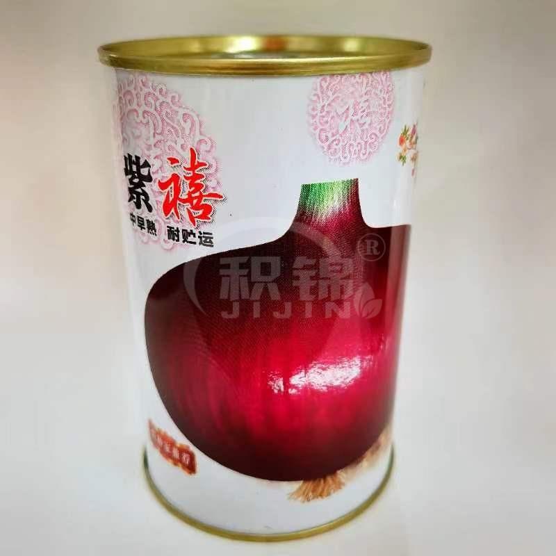 紫禧大果洋葱种子紫红鲜亮大果高产抗病商品性佳农家春秋播种精选