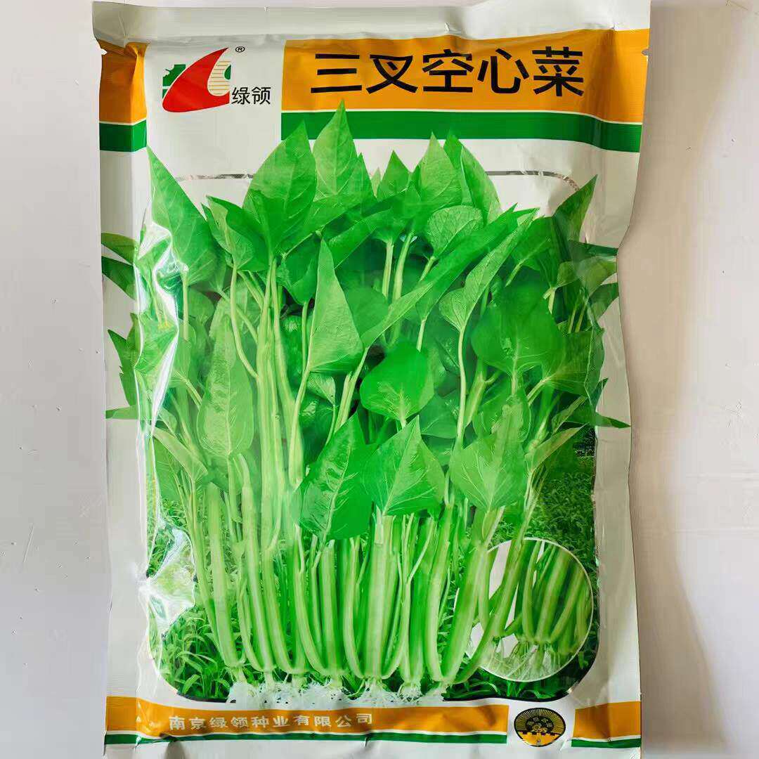 绿领三叉空心菜种子耐热