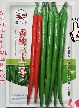香辣三十三号线椒珍珠挂果多辣味浓产量高抗病线椒种子农家种子籽