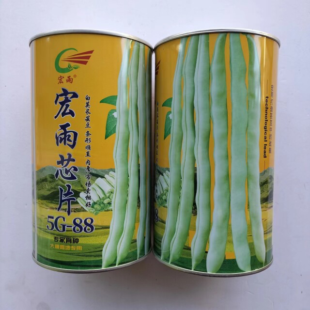 宏雨芯片5G-88早中熟芸豆种子豆荚绿白色口感清香芸豆种子