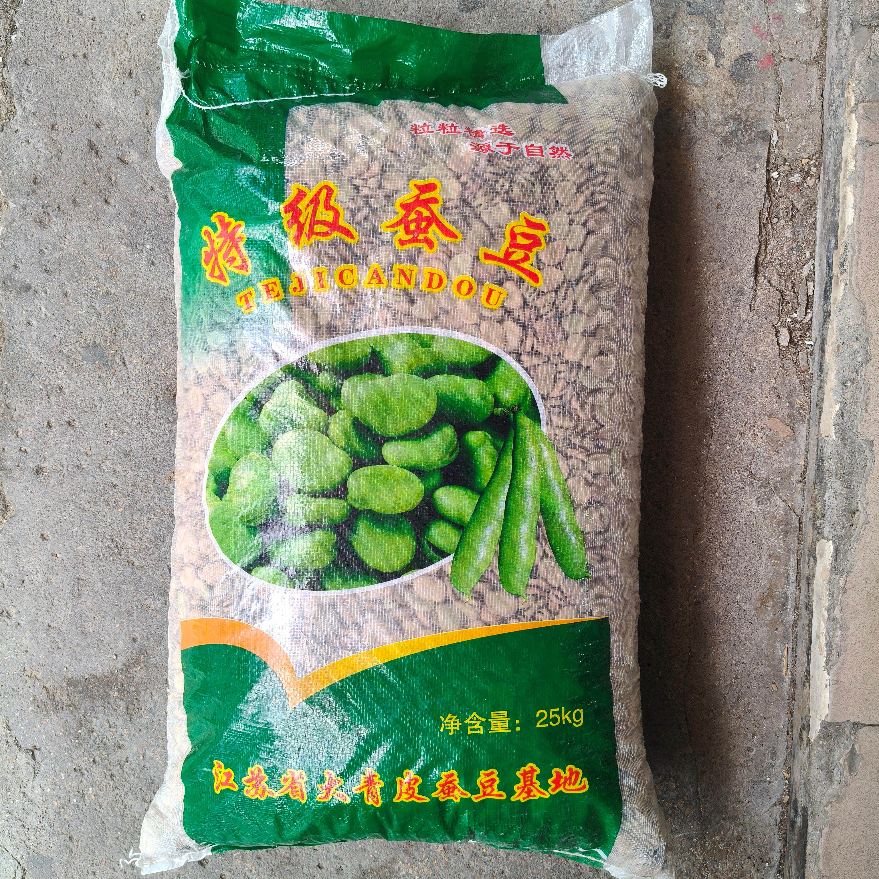 新种糯米蚕豆种子高产大